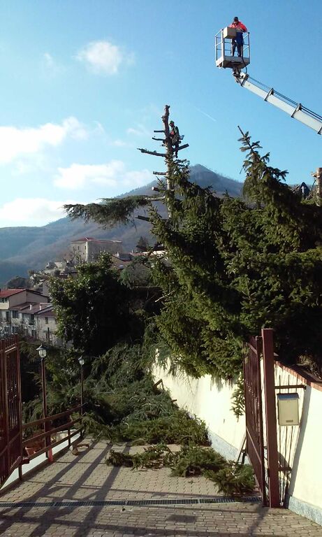 5363149 Servizi di giardinaggio e