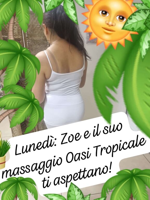 5396538 Sesto piano center
