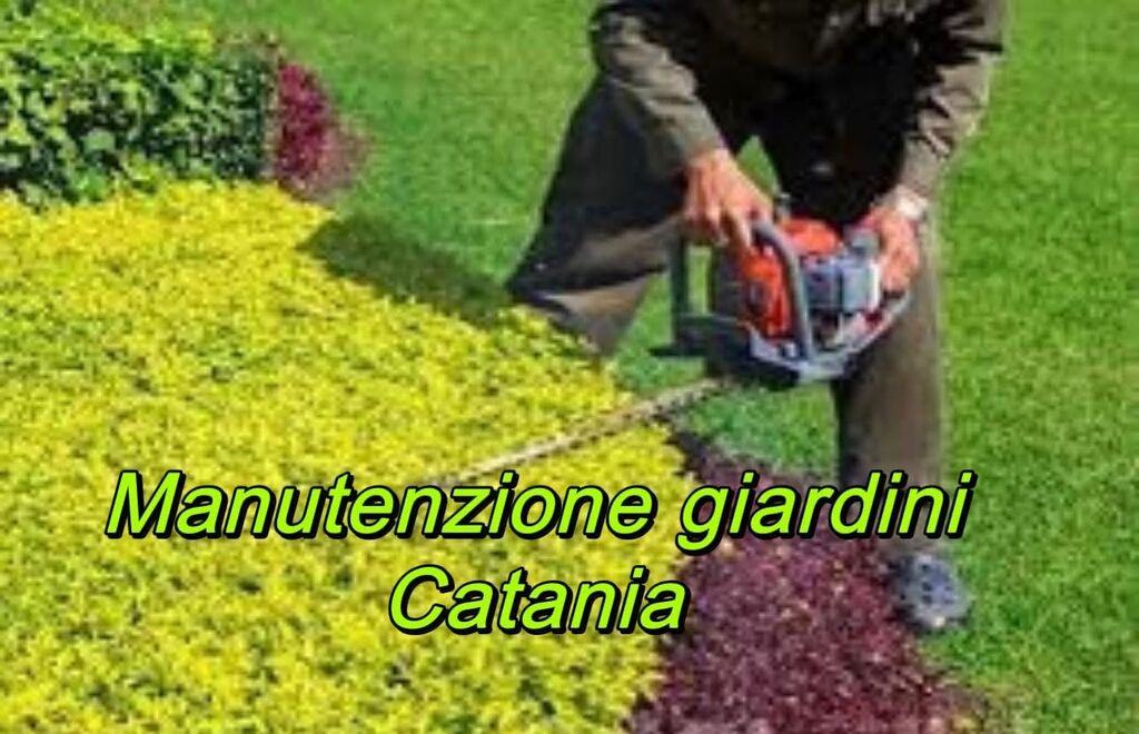 5355670 Sgombero cantine , case, garage,