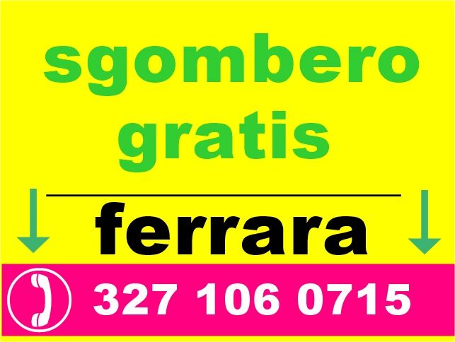 5378422 Sgombero tutto ferrara e
