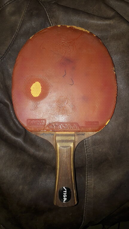 5377049 Stiga hans alser offensive wood