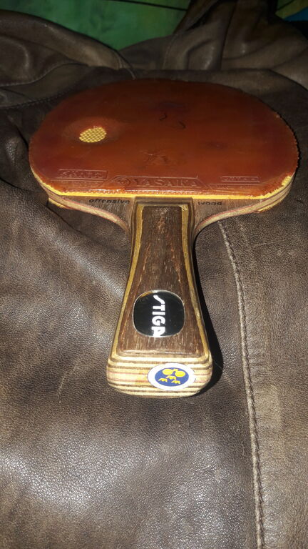 5377050 Stiga hans alser offensive wood