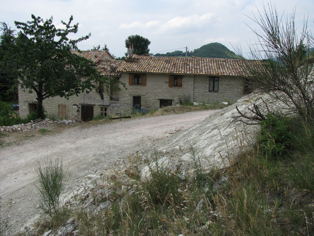 5348682  terreno boschivo mq500000