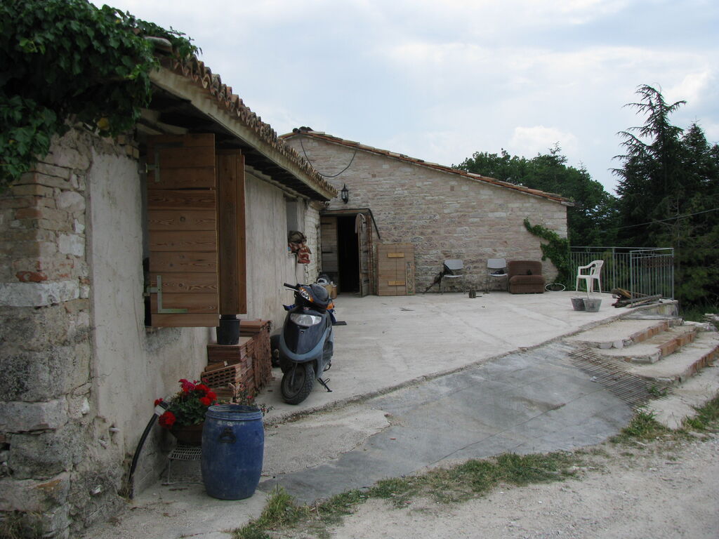 5348686  terreno boschivo mq500000