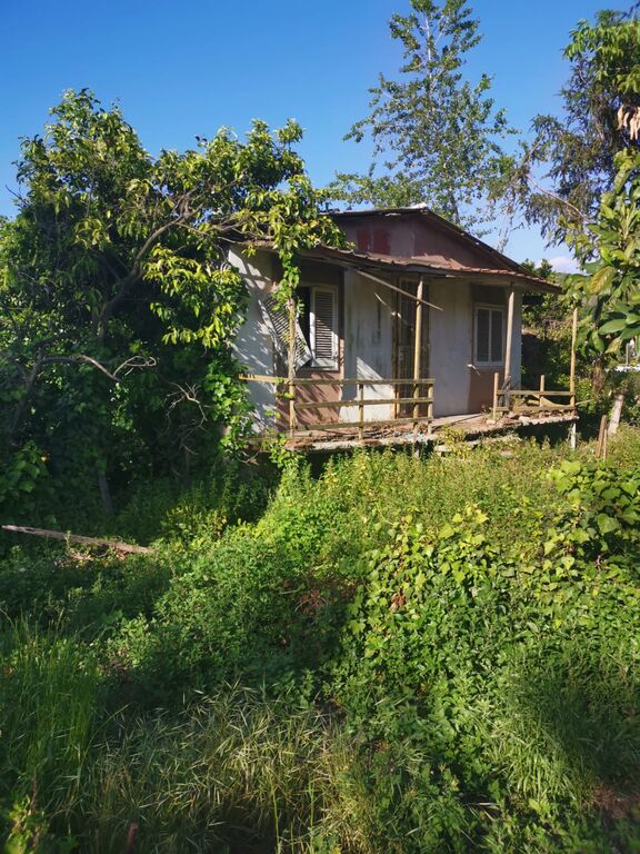 5358970  terreno coltivabile mq38000