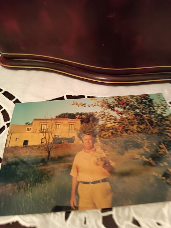 5371739  terreno coltivabile mq30000