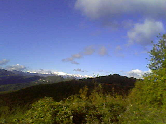 5401972  terreno coltivabile mq3250