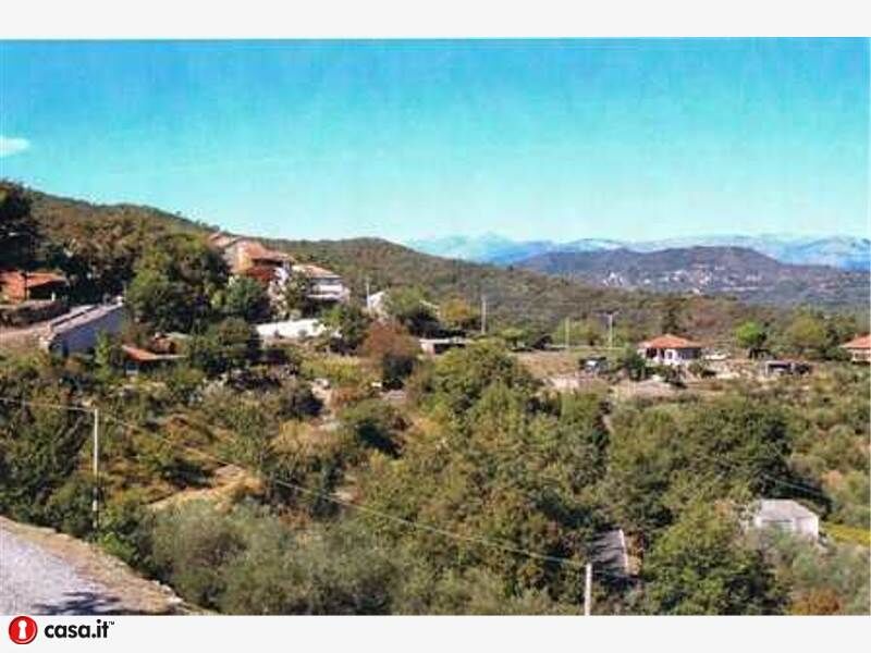 5408828  terreno coltivabile mq3250