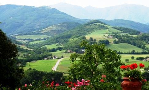 5357479  terreno edificabile mq1 Privato