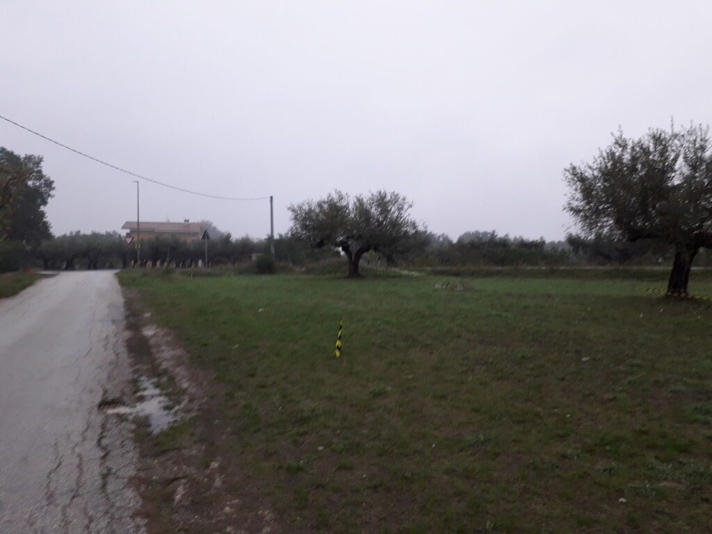 5365648  terreno edificabile mq3635