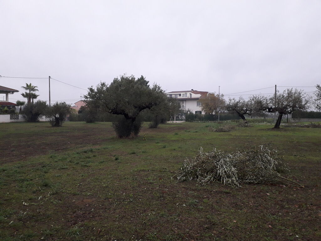 5365651  terreno edificabile mq3635