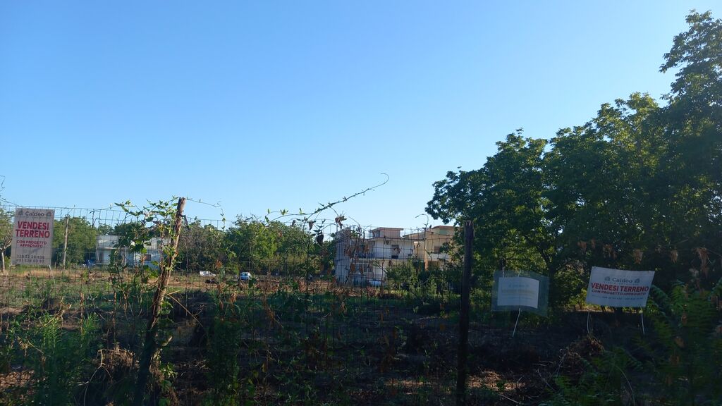 5391876  terreno edificabile mq6000