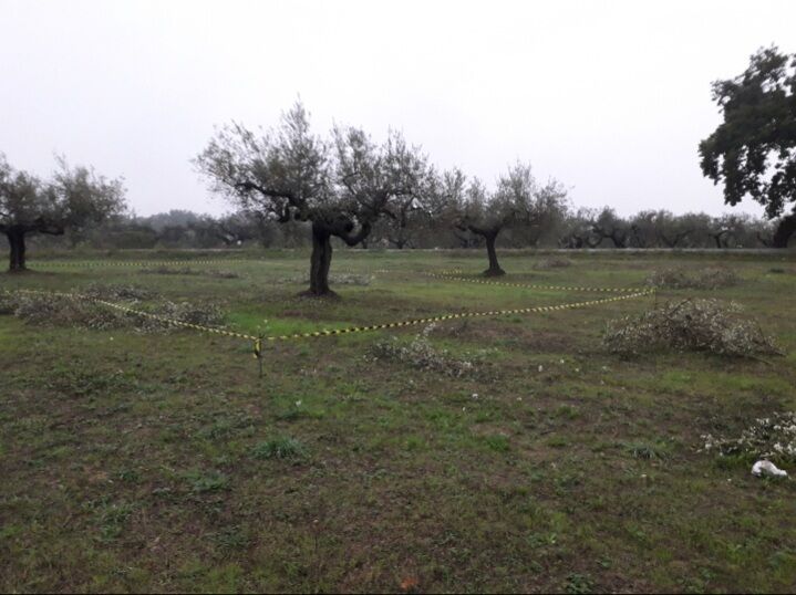 5405563  terreno edificabile mq3635