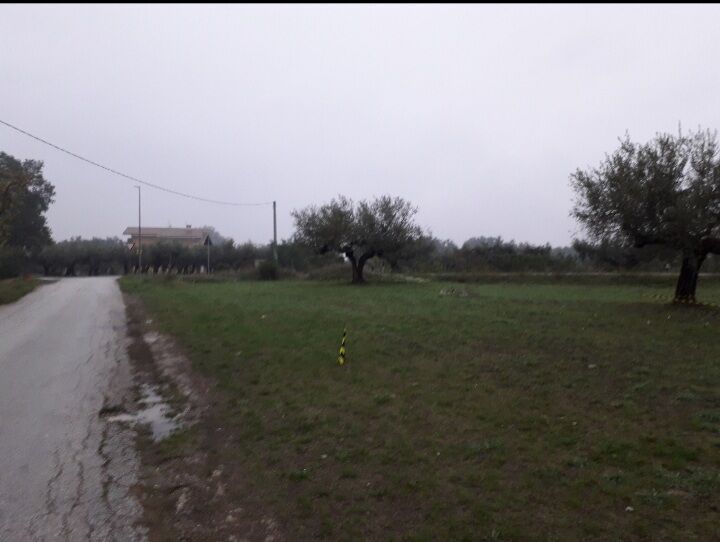 5405564  terreno edificabile mq3635
