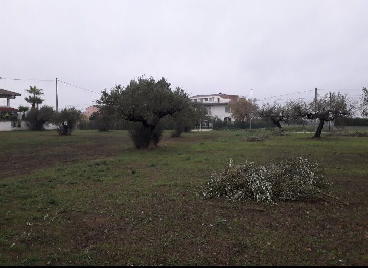 5405566  terreno edificabile mq3635