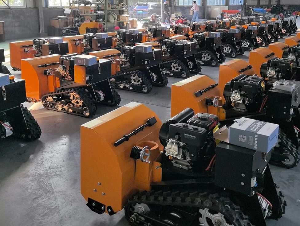 5407198 Turbina neve cingolato