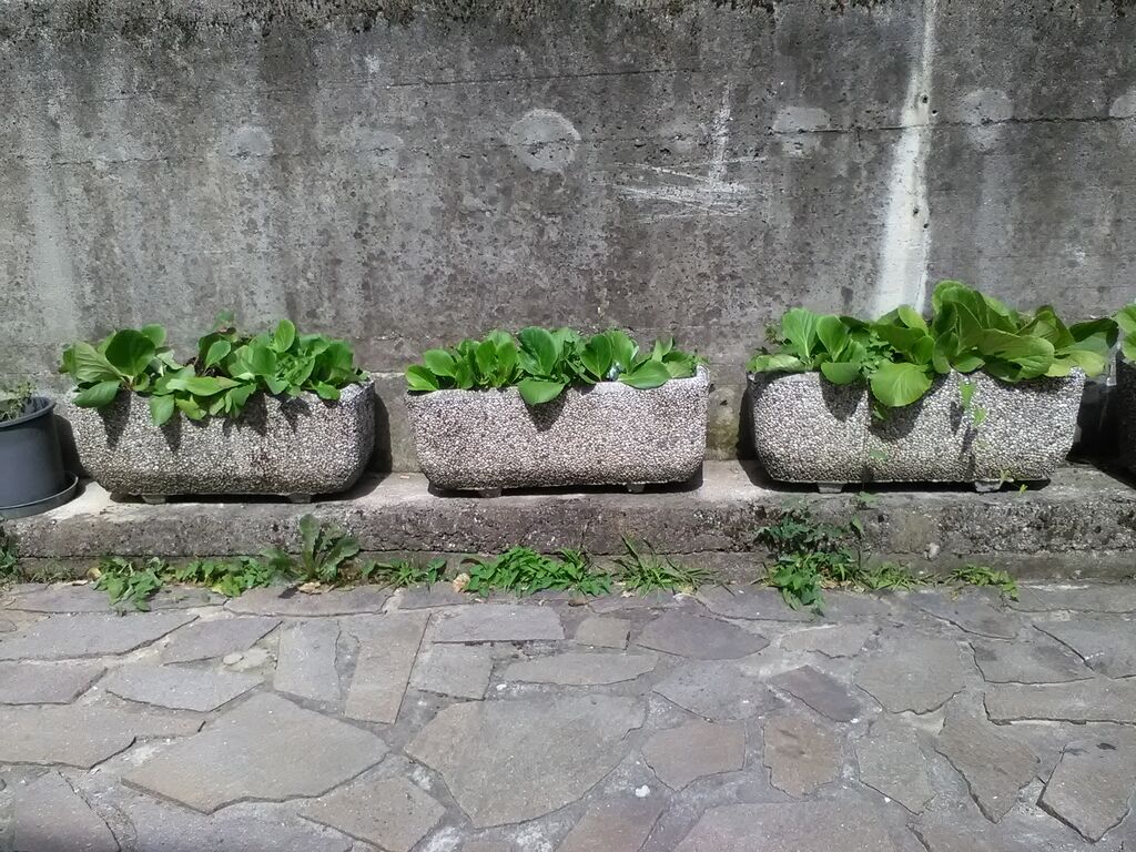 5347364 Vasi varie