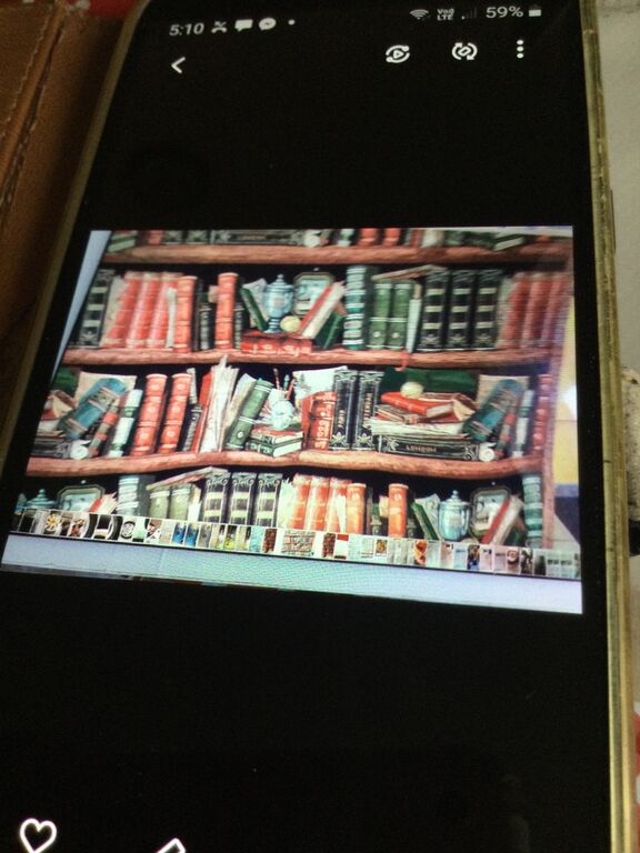 5376542 Vendo stupendo arazzo biblioteca