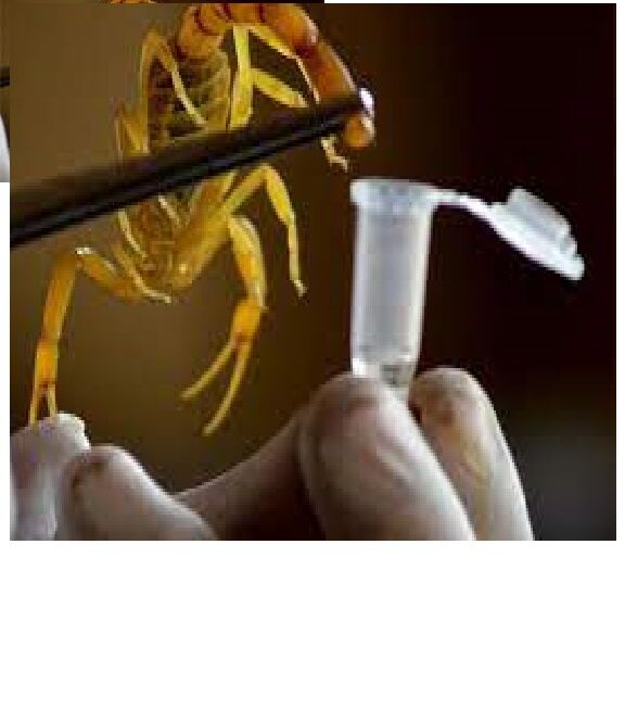 5404206 Vidatox verde da cuba