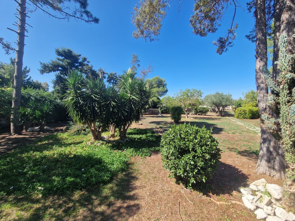 5402533  villa mq400 Ristrutturato